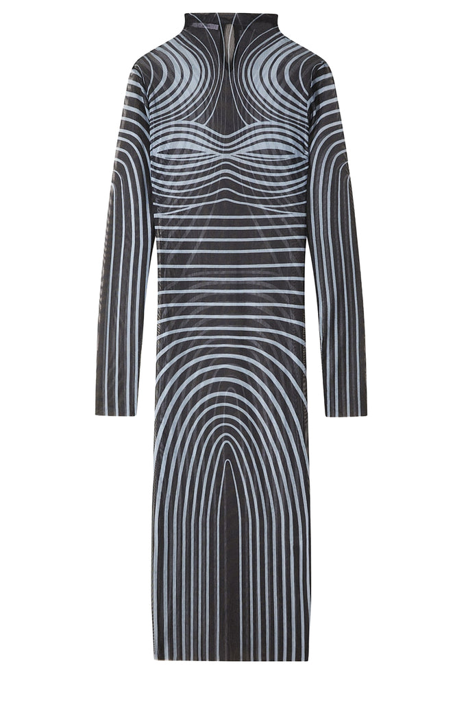 Printed Sheer Bodycon Dress