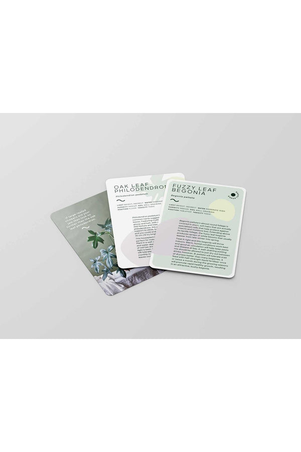 Leaf Supply Deck of Plants: 50 beltéri növényprofil – Lauren Camilleri és Sophia Kaplan 