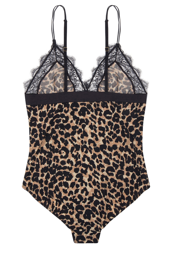 Doris body
